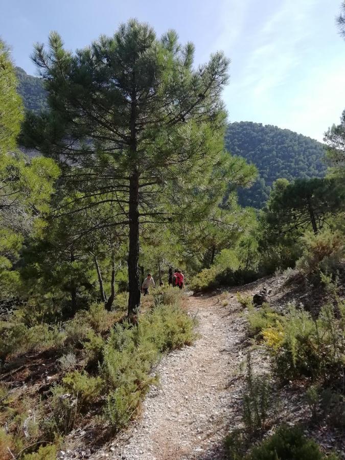 B&B The Lost Village El Acebuchal Frigiliana Luaran gambar
